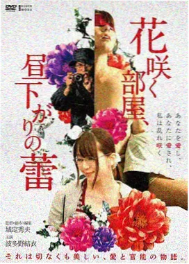 红楼梦 在线观看高清电视剧